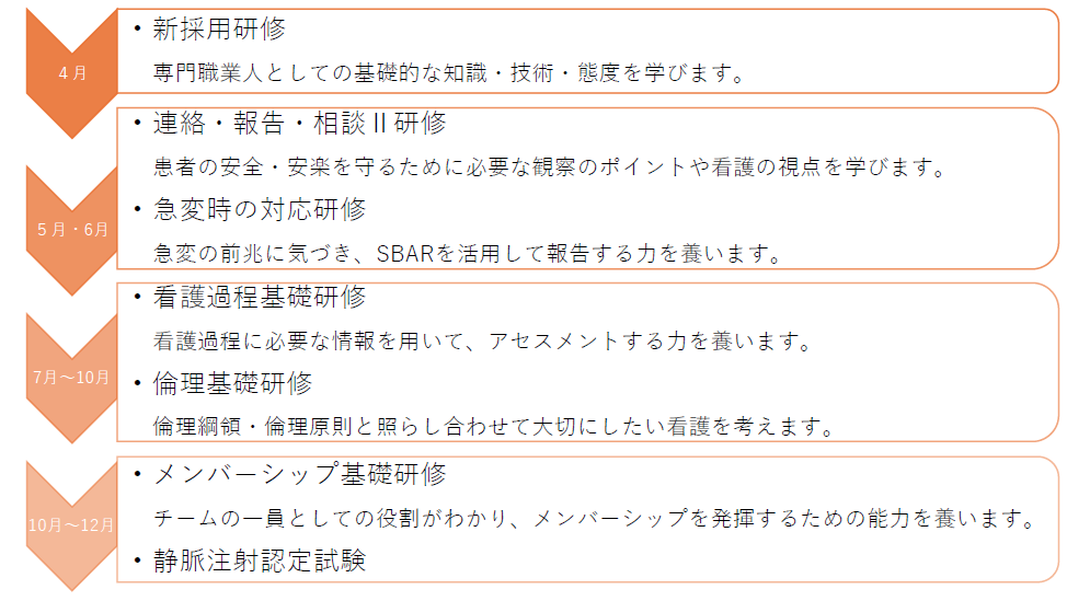 入職一年目の流れ