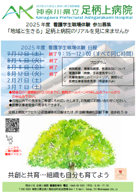 インターンシップのご案内